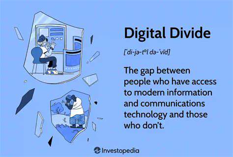 TheScopeoftheDigitalDivide