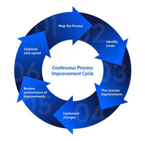 TheFutureofAIAudits:ContinuousImprovementandRegulation