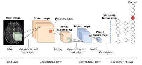 Deep Learning for Medical Image Analysis